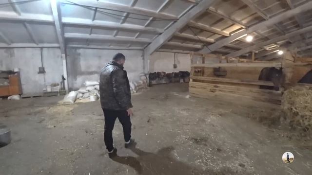 КАРАЧАЕВСКАЯ ЛОШАДЬ. ЗНАКОМСТВО. ХАРАКТЕР. ОСОБЕННОСТИ. СОДЕРЖАНИЕ. АММУНИЦИЯ. Ч.1 смотреть онлайн