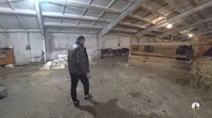 КАРАЧАЕВСКАЯ ЛОШАДЬ. ЗНАКОМСТВО. ХАРАКТЕР. ОСОБЕННОСТИ. СОДЕРЖАНИЕ. АММУНИЦИЯ. Ч.1