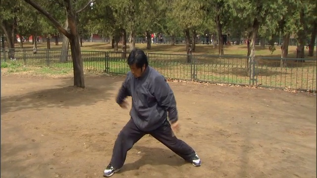 ТАЙЦЗИ - ДЫХАНИЕ ВСЕЛЕННОЙ смотреть онлайн