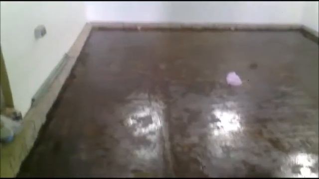 Полимерные полы на производстве сыра от "Lekko" смотреть онлайн