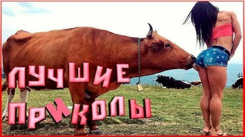 лучшие приколы для подъёма настроения? смотреть онлайн