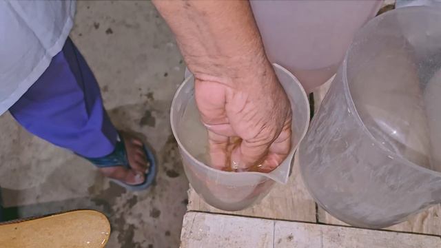 ✅️ABUELA de 70 AÑOS muestra cómo hacer la PUYA, un CONFITE tradicional de la costa Colombiana. 👌❤️ смотреть онлайн