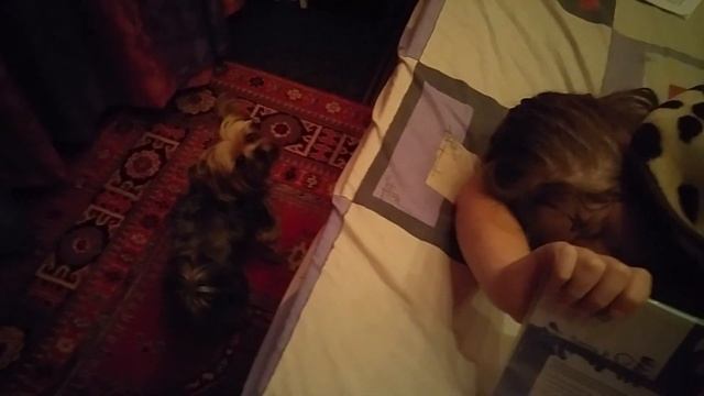 Как правильно учить русский язык/How to learn Russian language смотреть онлайн