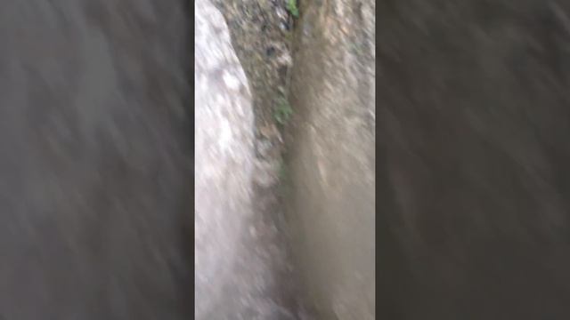 Одиозный Дед в поисках эльфов смотреть онлайн