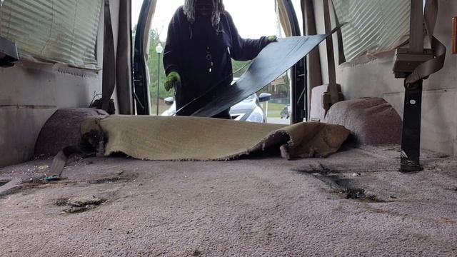 Gutting the van • 94' ford econoline • Cheap van build pt 1 смотреть онлайн
