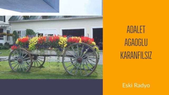 Adalet Agaoglu Karanfilsiz смотреть онлайн