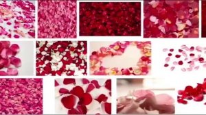 История открытия дигидрокверцетина