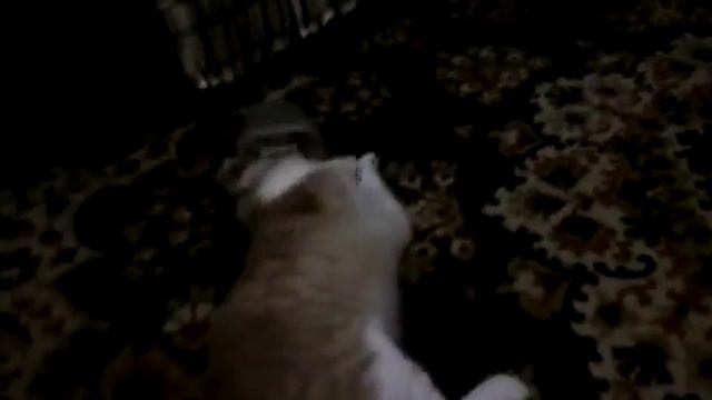 кот и валерьяна смотреть онлайн