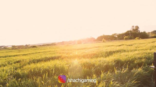 Все, конец! Закрываю!!!!!!!!! Переезд! смотреть онлайн