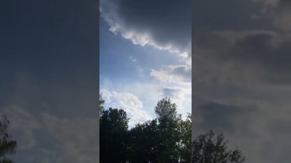 Новый уровень Tech Team Zorg