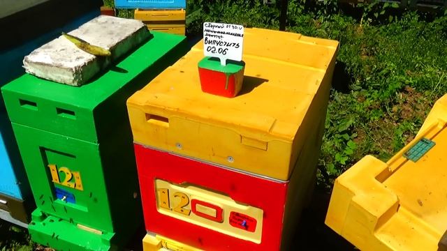 Пробиотик для наращивания силы пчелосемей смотреть онлайн
