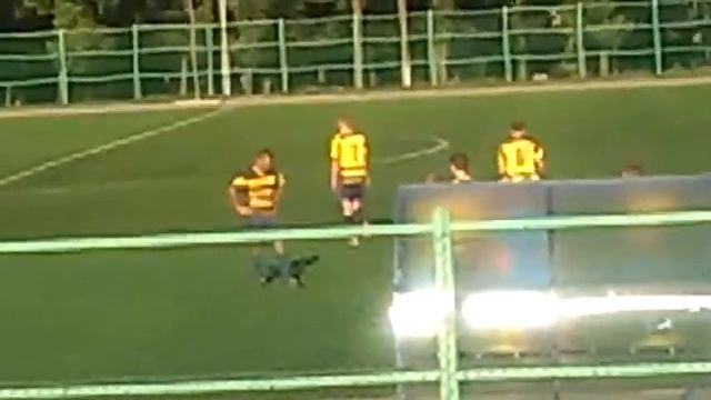 ДЮСШ «Арсенал» г. Тула VS. «Меч» г. Ефремов - 2:1 (1:1) смотреть онлайн