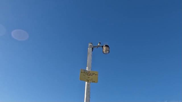 Solo Female Van Life | Hervey Bay and a trip to FRASER ISLAND смотреть онлайн