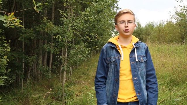 Лиза Алерт. Найден. Жив смотреть онлайн