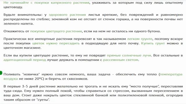 Покупаем комнатные растения советы новичкам смотреть онлайн