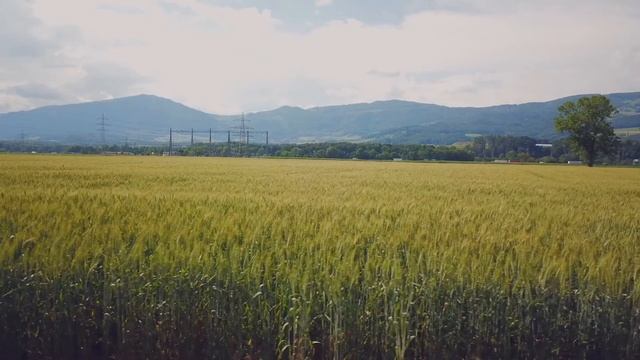 У Отца День Рождения был бы... смотреть онлайн