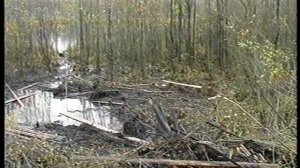 Подъем танка Т-34-76  Доватор