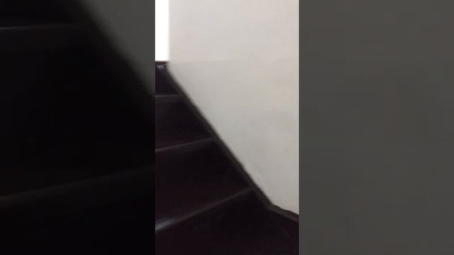 Коттедж 170 кв.м. на участке 6 сот. смотреть онлайн