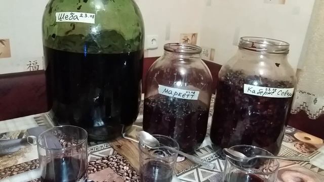 Виноград Каберне Северный, Маркетт и Шеба обзор и сравнение винограда! смотреть онлайн