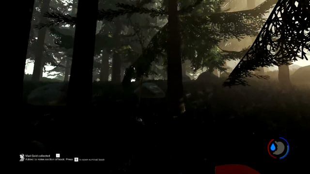 Поигрушки в The Forest#3 |Небольшой лагерь.Аборигенов.| смотреть онлайн