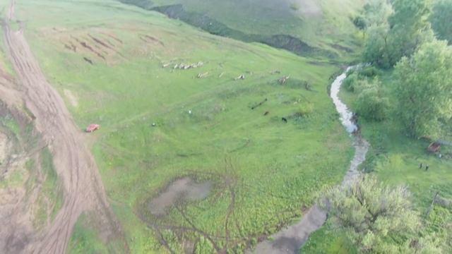 Чувашский табун провожали...