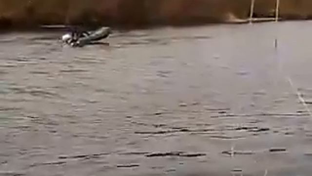 Водолаз(Дима) доволен покупкой. смотреть онлайн