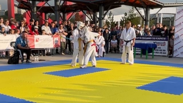 Титульный бой «New Level» - Гопаненко Кирилл смотреть онлайн