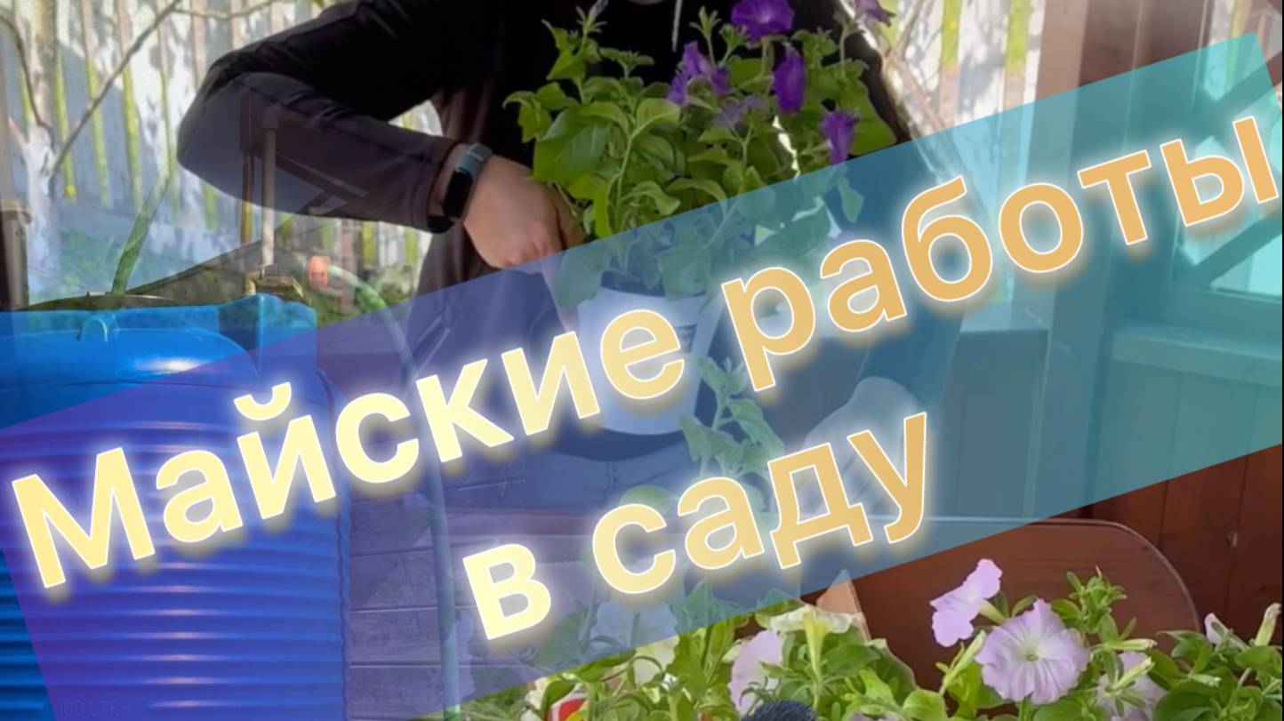 Майские работы в саду. Снегопад. Рассада. Шашлычное ассорти. Дачные истории.