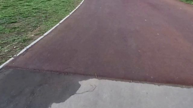 Утренняя разминка