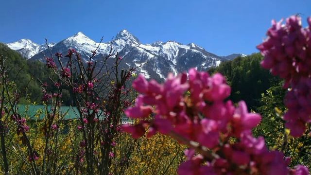 Тета медитация "Манифестация желаемого". Тета хилинг смотреть онлайн