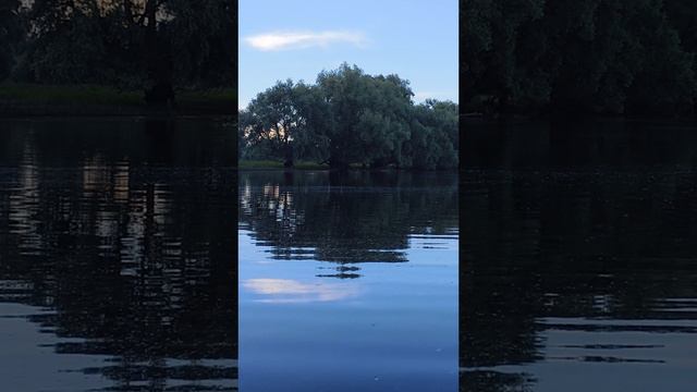 я вживую познакомился с АГАТом, плывём ловить рыбу #рыбалка #спиннинг #окунь #рыба смотреть онлайн