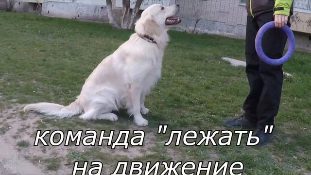 Команды, которые знает Ник смотреть онлайн