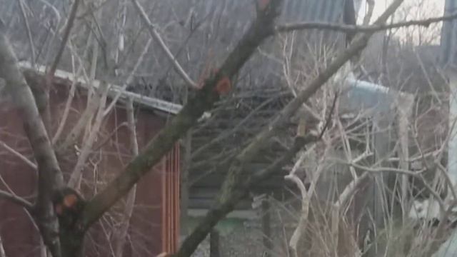 Сало для синичек. смотреть онлайн