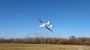 М-17 Стратосфера. размах 4 метра.Конструктор Lazigy.