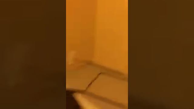 Blu ray player for sale смотреть онлайн