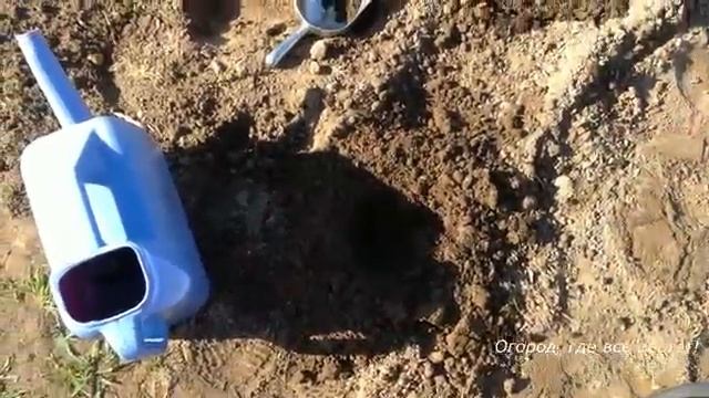 Посадка арбузов с некоторыми новинками.mp4 смотреть онлайн