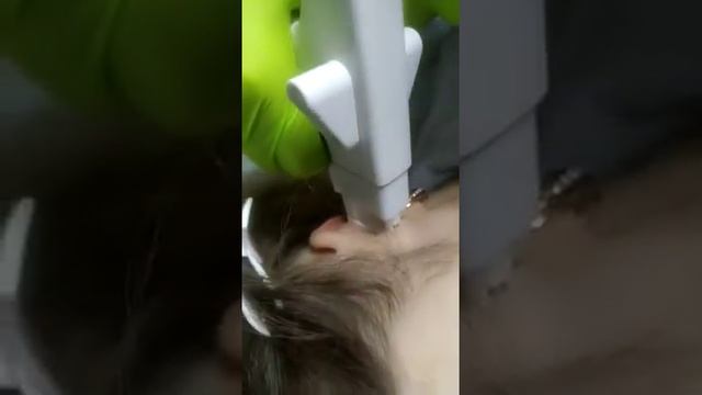Piercing.Пирсинг трагус(козелок уха) пистолетом Blomdahl. Ученица. смотреть онлайн