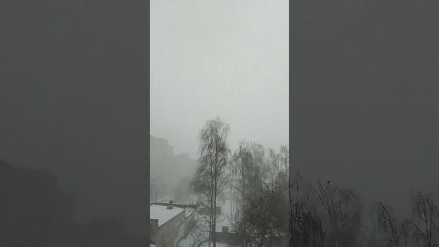 #авторскийвидеоролик#о природе ВЬЮГА,СНЕГ И ГРОЗА 4 МАРТА автор Волошина Анна смотреть онлайн