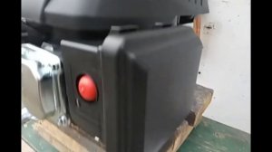 Двигатель с вертикальным валом RATO RV225. Обзор