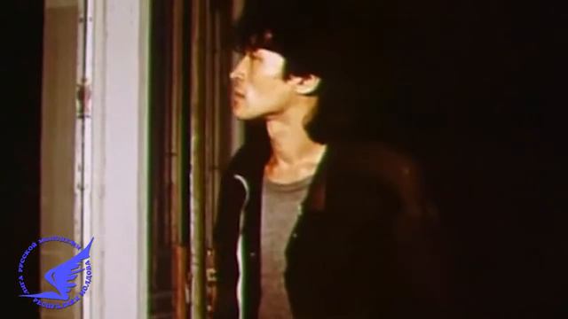 Вечер памяти В Цоя смотреть онлайн