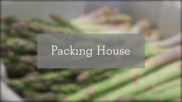 Rutgers Ultra Niche Crops | Asparagus смотреть онлайн