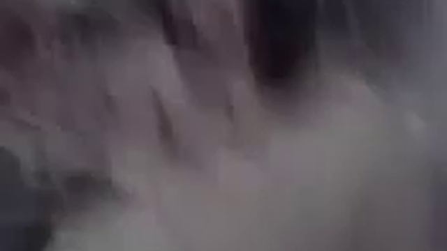 17 февраля 2024 г. смотреть онлайн