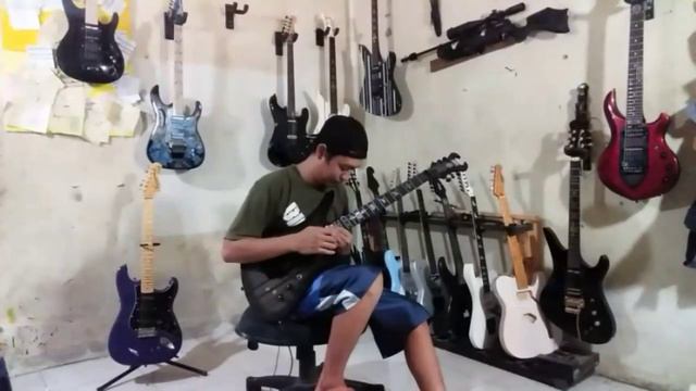 SCHECTER SATIN DARK EARTH BURST CUSTOM HIGHQUALITY смотреть онлайн