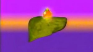 Галстена / Эффективно Надежно В любом возрасте