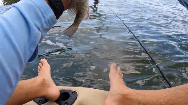 KAYAK Fishing PELICAN CATCH PWR 100 SOUTH FLORIDA смотреть онлайн