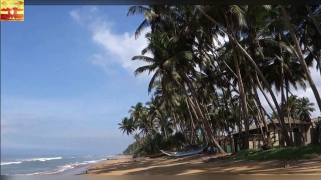 Wadduwa, Sri Lanka (Ваддува, Шри-Ланка) смотреть онлайн