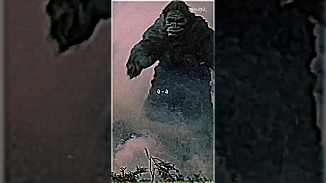 King Kong (1962) Vs. Godzilla (1962) | #kingkong #godzilla смотреть онлайн
