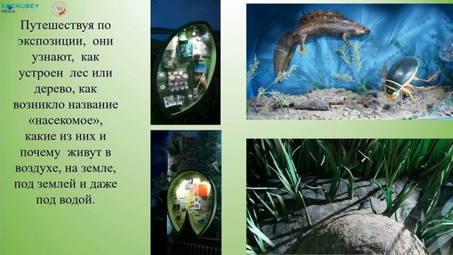 Онлайн дискуссия '