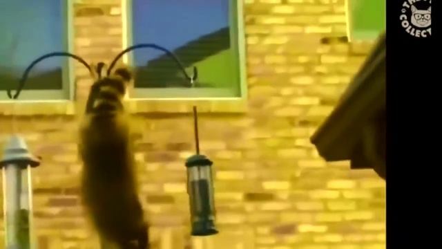 ПОУГАРАТЬ!!! РЖАЧ!!!!! Приколы за декабрь!!!! смотреть онлайн