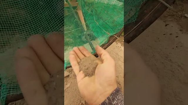 Смотреть срочно!!! Бетономешалка модернизация. Сеялка для песка. смотреть онлайн